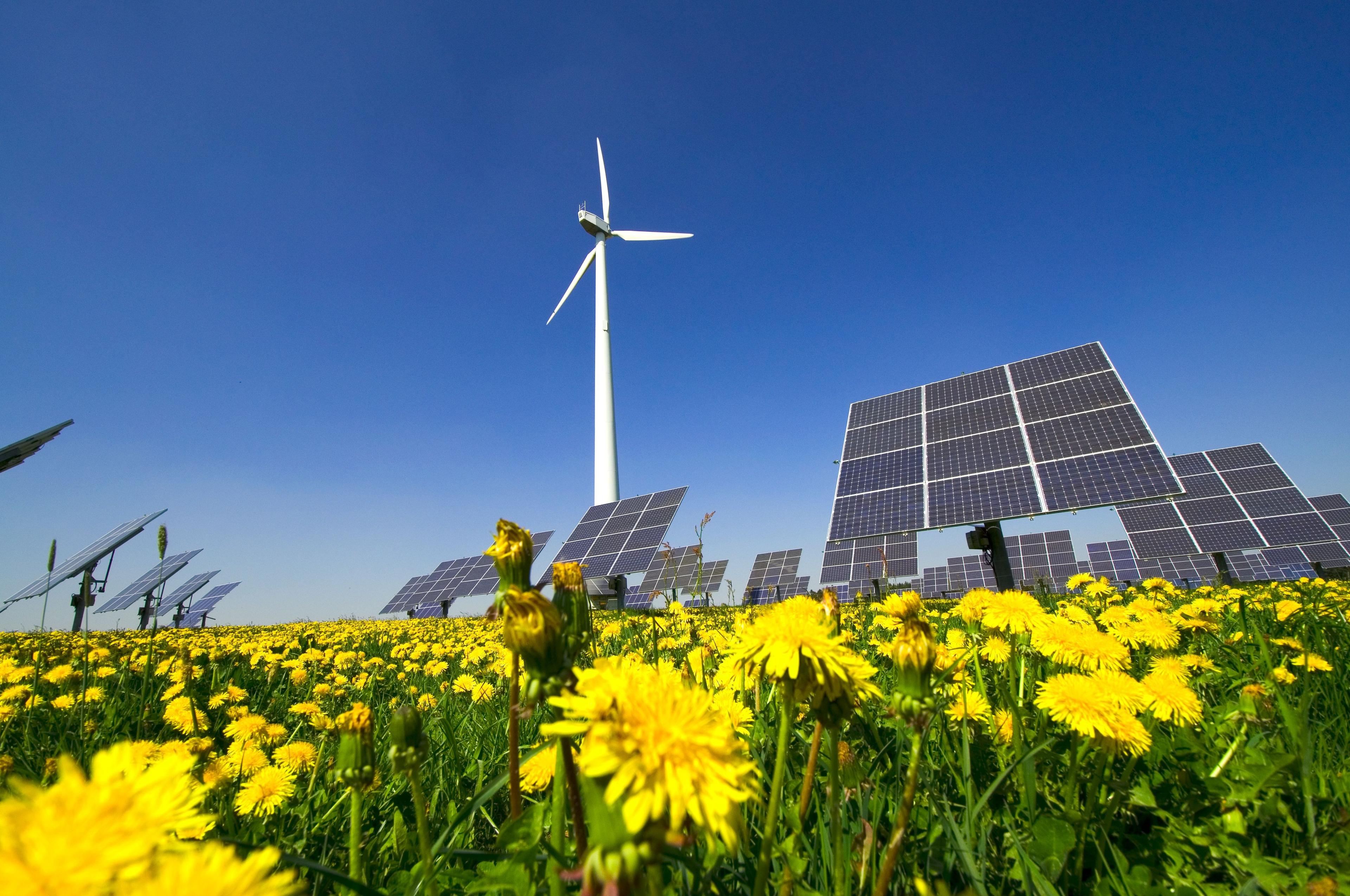 Mai-Inken Knackfuß: Akteure der Energiewende zusammenbringen