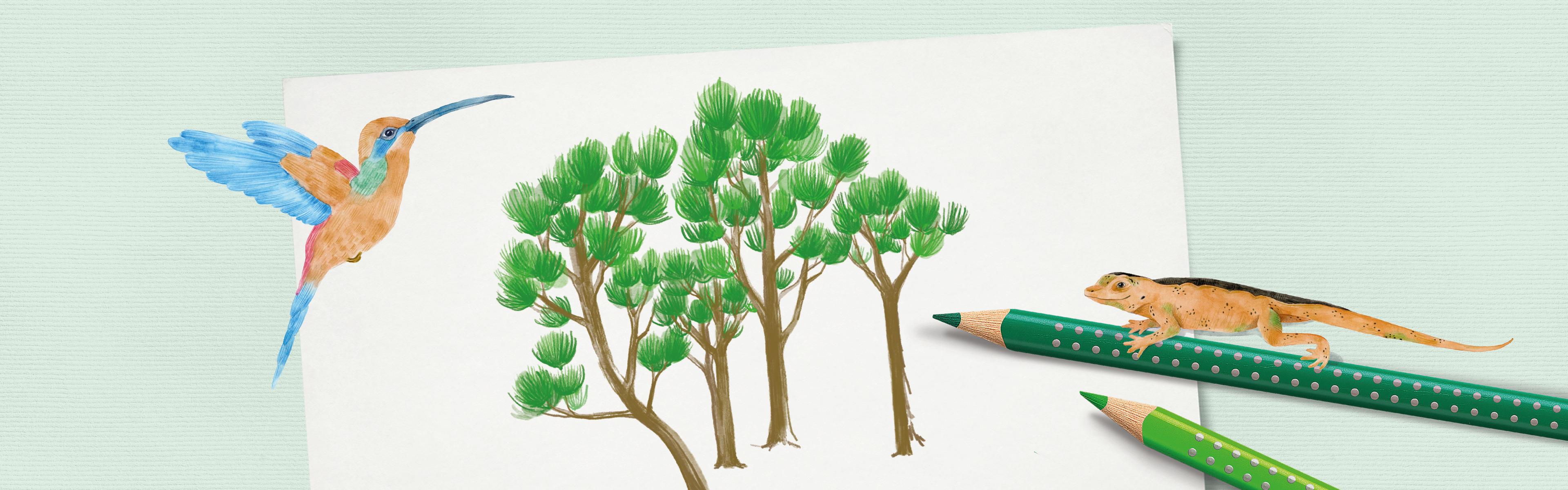 Faber-Castell: Nachhaltigkeit jenseits von Trends